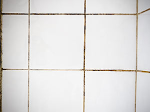 Dirty Grout Bathroom Tiles